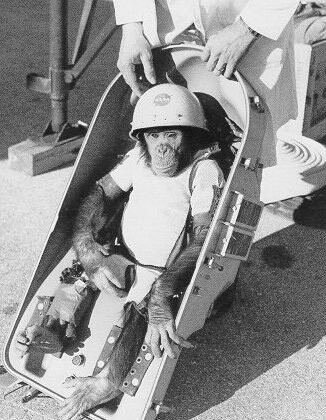 Ham the Chimp in Space : Story about Astrochimp Ham