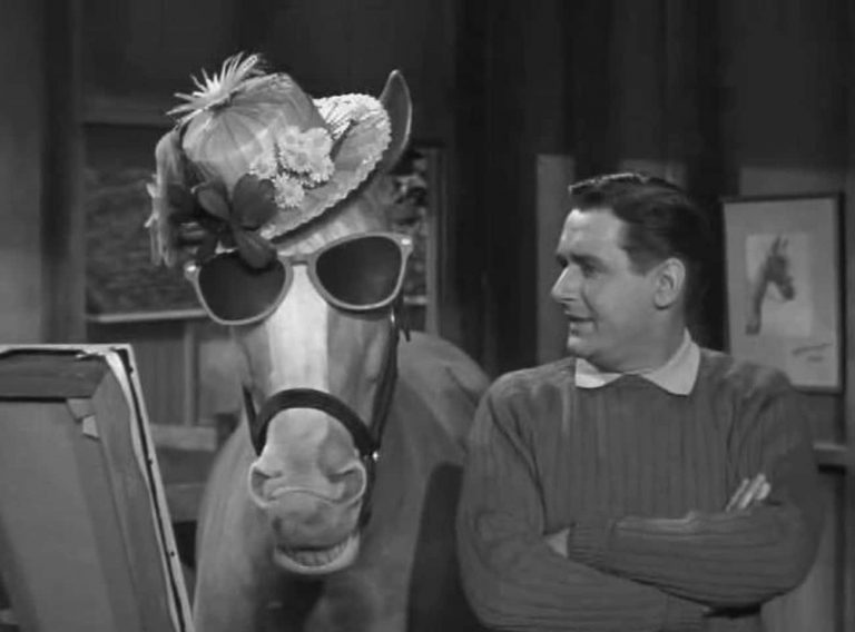 Bamboo Harvester: Mr. Ed the Horse’s Amazing Strange History