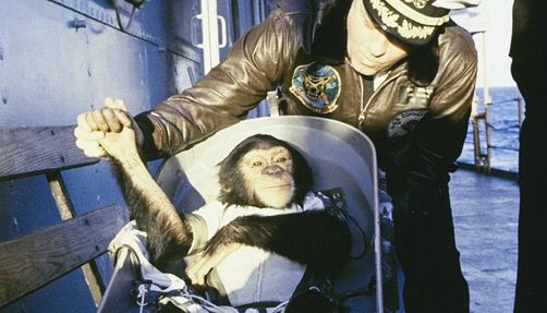 Ham the Chimp in Space : Story about Astrochimp Ham
