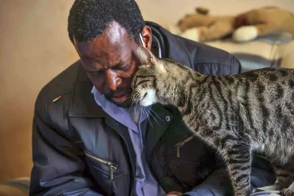 One man's mission to provide care for abandoned animals in Gaza