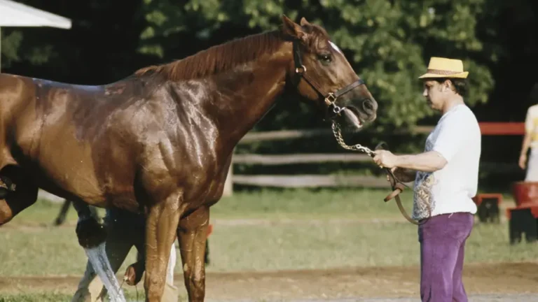 Every Horse in Kentucky Derby 2025 Descends from Legendary Secretariat! – Animalpond