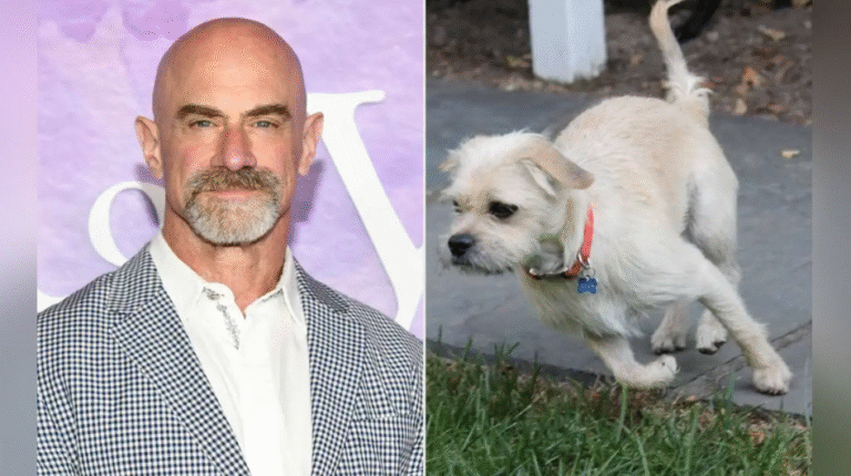 After 14 loving Years, Christopher Meloni says goodbye to his beloved rescue Dog, Scotty! – petcutes