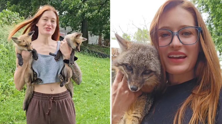 Tributes paid to Animal rescue YouTuber Mikayla Raines who has [di.ed] aged 29! – petcutes