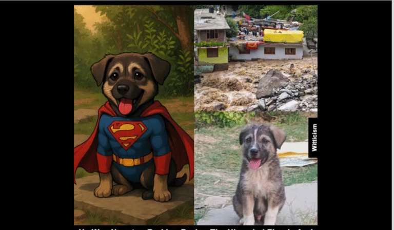 A 5-month-old Puppy saved 67 People from a de.vast.ating la.nd.sli.de in India! – petcutes