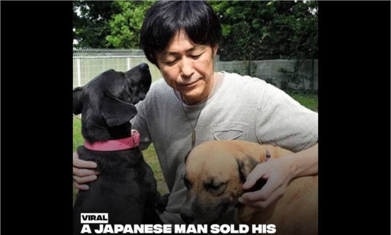 A 54-year-old Japanese businessman, Hirotaka Saito, made a life-changing decision after his own dog saved him from [en.di.ng] his life! – petcutes