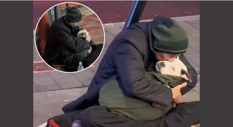 A Homeless Man has captured the attention of Thousands, not for begging, but for the way he rocks his Dog to Sleep every Night! – petcutes