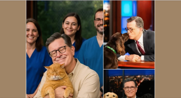 Stephen Colbert sets the Internet ablaze with a Heartwarming announcement, revealing plans to invest $10 Million into Building a PARADISE for stray Dogs and Cats! – petcutes