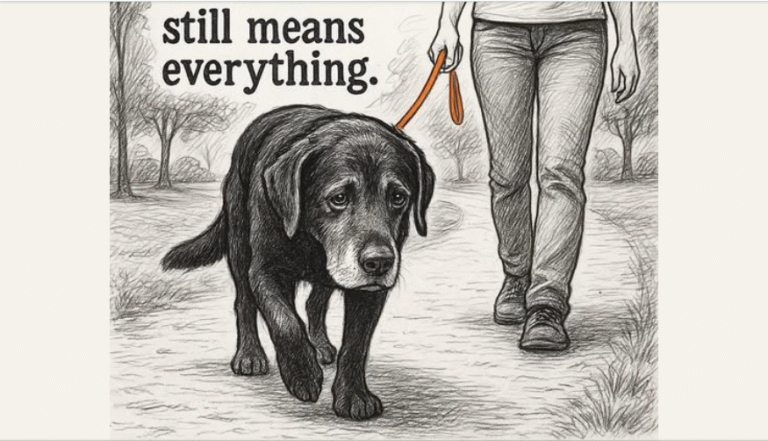 I saw this and it hit me right in the heart!