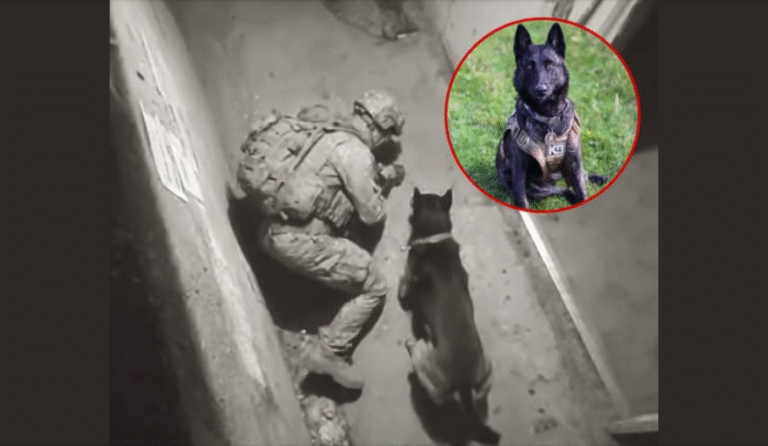 Dog Refuses to Leave Do.wn.ed Soldier – He never left!