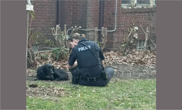 This Officer showed her LOVE for a stray Dog🐶 – petcutes