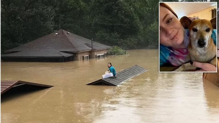 A Girl’s Brave Fight to Save Her Dog From Rising Flood Waters